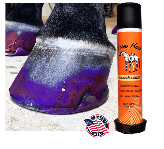 GROOMS HAND TACK + SUPPLIES Default GROOMS HAND THRUSH SPRAY