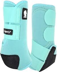 CLASSIC EQUINE TACK TACK M / MINT CLASSIC Legacy2 HIND SPLINT BOOT