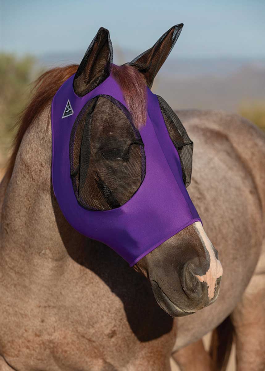 PROFESSIONALS CHOICE TACK PURPLE / SMALL/COB COMFORT LYCRA FLY MASK - SMALL/COB