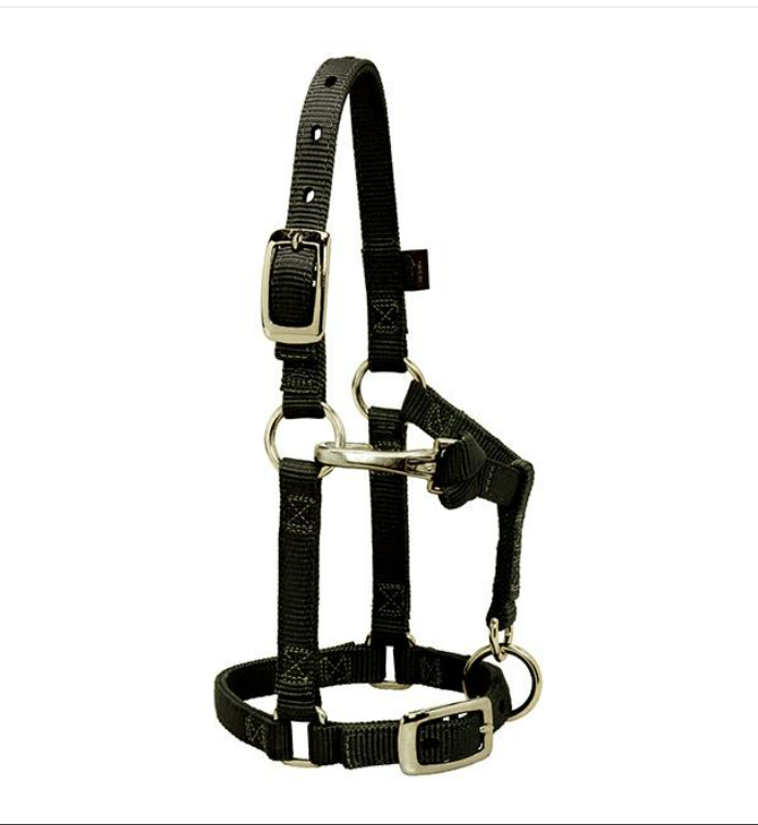 WEAVER LEATHER TACK BLACK(S1) MINI AVERAGE NYLON HALTER