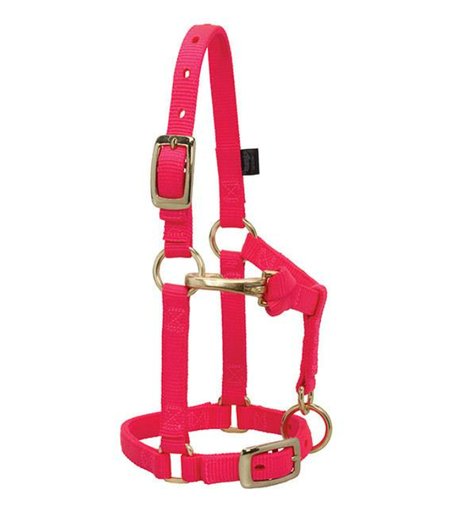 WEAVER LEATHER TACK DIVAPINK(S38) MINI AVERAGE NYLON HALTER