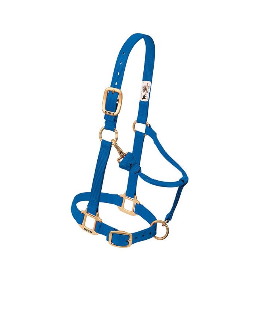 WEAVER LEATHER TACK BLUE / AVERAGE ORIGINAL ADJUSTABLE CHIN & THROAT SNAP HALTER