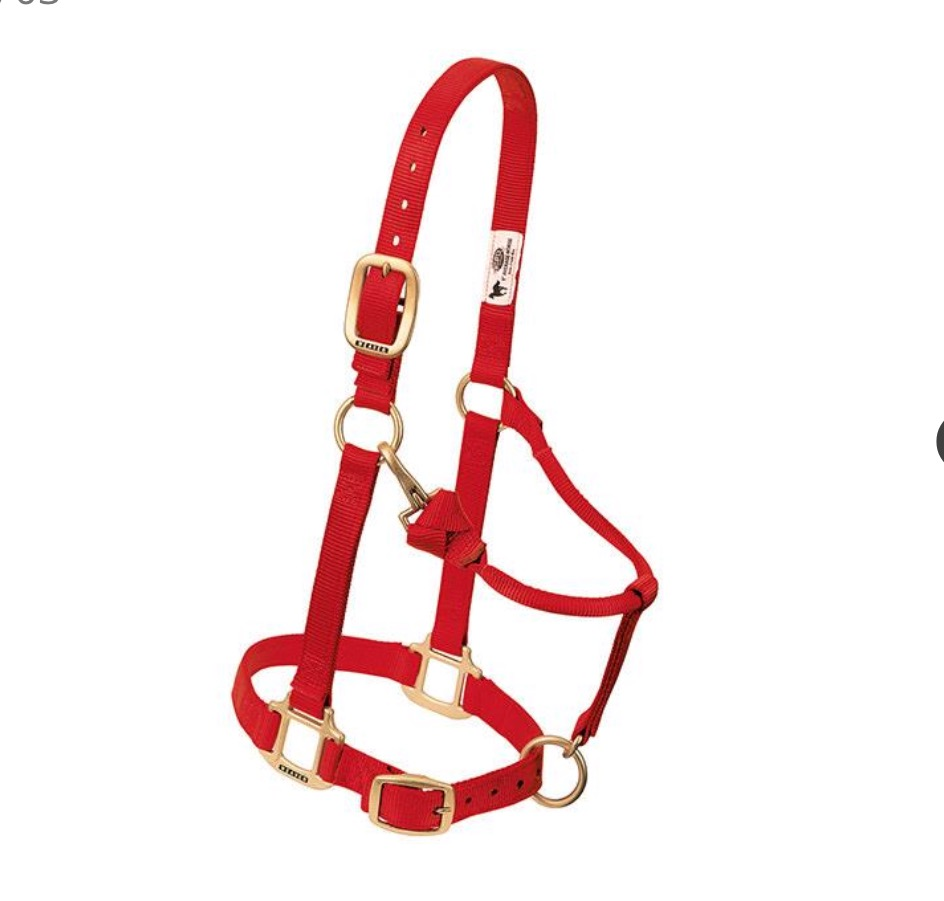 WEAVER LEATHER TACK RED / AVERAGE ORIGINAL ADJUSTABLE CHIN & THROAT SNAP HALTER