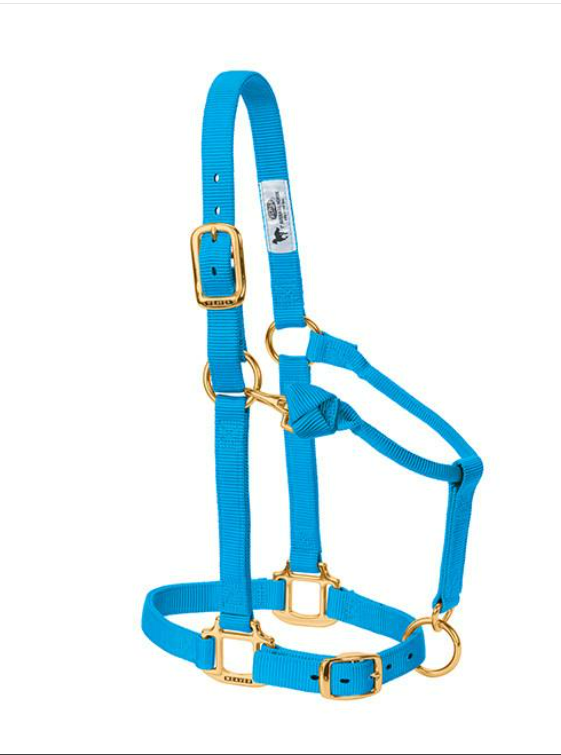 WEAVER LEATHER TACK HRCN_BLUE / AVERAGE ORIGINAL ADJUSTABLE CHIN & THROAT SNAP HALTER