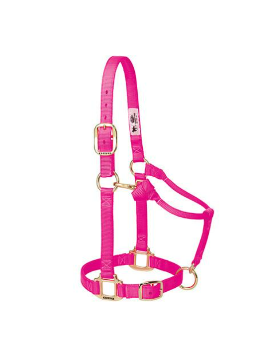 WEAVER LEATHER TACK DIVAPINK(S38) WEANLING/PONY NYLON HALTER