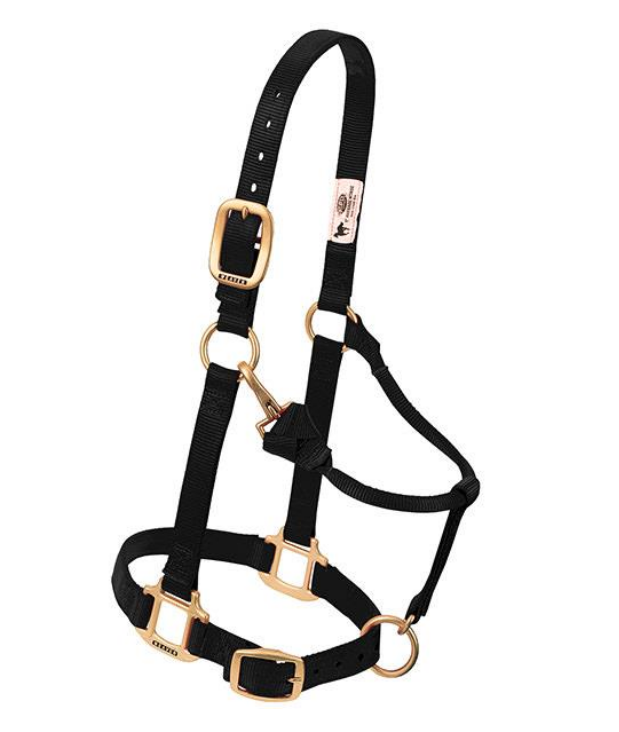 WEAVER LEATHER TACK BLACK(S1) WEANLING/PONY NYLON HALTER