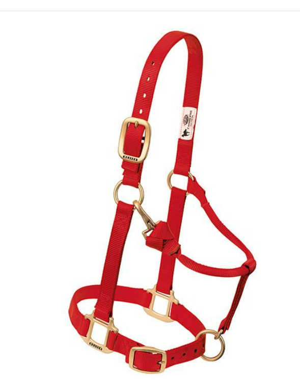 WEAVER LEATHER TACK RED(S2) WEANLING/PONY NYLON HALTER