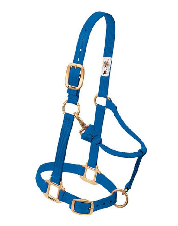 WEAVER LEATHER TACK BLUE(S4) WEANLING/PONY NYLON HALTER