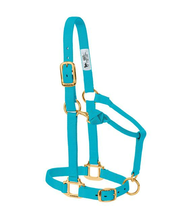 WEAVER LEATHER TACK TURQUOISE WEANLING/PONY NYLON HALTER