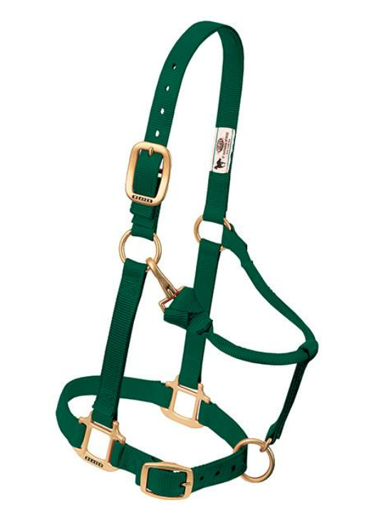 WEAVER LEATHER TACK HTGREEN WEANLING/PONY NYLON HALTER